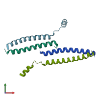 PDB entry 2yy0 coloured by chain, front view.
