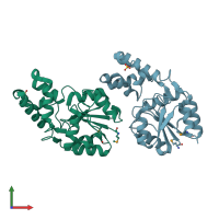 PDB entry 2yy6 coloured by chain, front view.