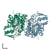 PDB entry 2yy7 coloured by chain, front view.