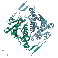 PDB entry 2yy8 coloured by chain, front view.