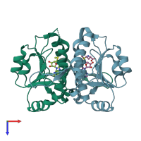PDB entry 2yy8 coloured by chain, top view.