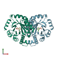 PDB entry 2yyu coloured by chain, front view.