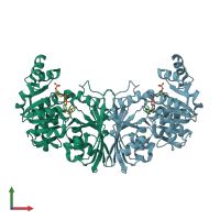PDB entry 2yyy coloured by chain, front view.
