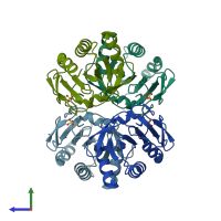 PDB entry 2yzh coloured by chain, side view.