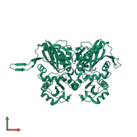 D-alanine--D-alanine ligase in PDB entry 2yzn, assembly 1, front view.