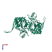 D-alanine--D-alanine ligase in PDB entry 2yzn, assembly 1, top view.