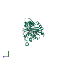 Cysteine protease ATG4B in PDB entry 2z0d, assembly 1, side view.