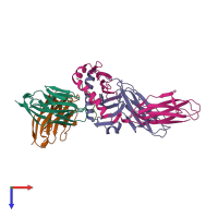 PDB entry 2z31 coloured by chain, top view.