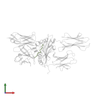 Myelin basic protein (MBP)-peptide in PDB entry 2z31, assembly 1, front view.