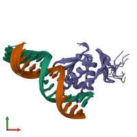 PDB entry 2z33 coloured by chain, ensemble of 10 models, front view.