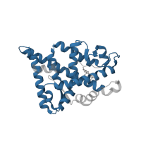 The deposited structure of PDB entry 2z4j contains 1 copy of Pfam domain PF00104 (Ligand-binding domain of nuclear hormone receptor) in Androgen receptor. Showing 1 copy in chain A.