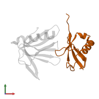 Ubiquitin in PDB entry 2z59, assembly 1, front view.