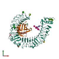PDB entry 2z64 coloured by chain, front view.