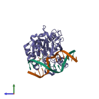 PDB entry 2z6a coloured by chain, side view.