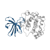 The deposited structure of PDB entry 2z7r contains 1 copy of CATH domain 3.30.200.20 (Phosphorylase Kinase; domain 1) in Ribosomal protein S6 kinase alpha-1. Showing 1 copy in chain A.