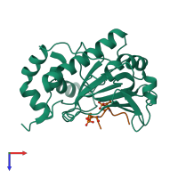 PDB entry 2z8p coloured by chain, top view.