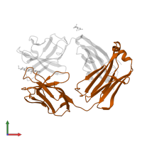 Anti-ciguatoxin antibody 10C9 Fab light chain in PDB entry 2z92, assembly 1, front view.