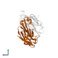 Anti-ciguatoxin antibody 10C9 Fab light chain in PDB entry 2z92, assembly 1, side view.