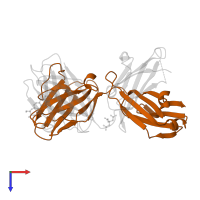 Anti-ciguatoxin antibody 10C9 Fab light chain in PDB entry 2z92, assembly 1, top view.