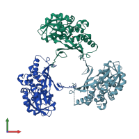 PDB entry 2zau coloured by chain, front view.