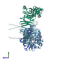 PDB entry 2zau coloured by chain, side view.