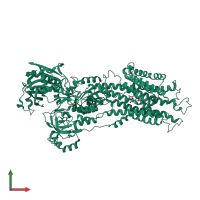 PDB entry 2zbf coloured by chain, front view.