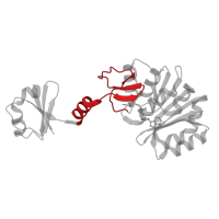The deposited structure of PDB entry 2zbp contains 1 copy of CATH domain 1.20.5.1350 (Single alpha-helices involved in coiled-coils or other helix-helix interfaces) in Ribosomal protein L11 methyltransferase. Showing 1 copy in chain A.