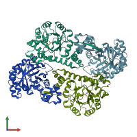 PDB entry 2zbt coloured by chain, front view.