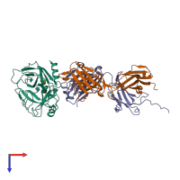 PDB entry 2zcl coloured by chain, top view.