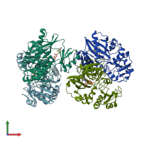 PDB entry 2zdg coloured by chain, front view.