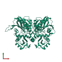 D-alanine--D-alanine ligase in PDB entry 2zdh, assembly 2, front view.