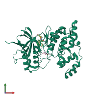 PDB entry 2zdt coloured by chain, front view.