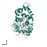 Calcineurin B-like protein 2 in PDB entry 2zfd, assembly 1, side view.