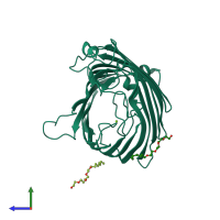 PDB entry 2zfg coloured by chain, side view.