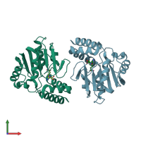 PDB entry 2zfu coloured by chain, front view.