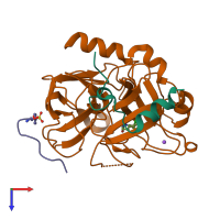 PDB entry 2zgb coloured by chain, top view.