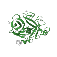 The deposited structure of PDB entry 2zgh contains 1 copy of Pfam domain PF00089 (Trypsin) in Granzyme M. Showing 1 copy in chain A.