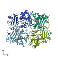 PDB entry 2zgi coloured by chain, front view.