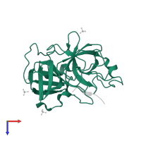 Granzyme M in PDB entry 2zgj, assembly 1, top view.