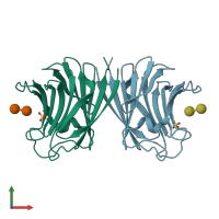 PDB entry 2zgm coloured by chain, front view.