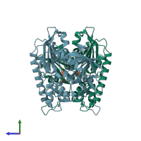 PDB entry 2zgy coloured by chain, side view.