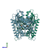 PDB entry 2zgz coloured by chain, side view.