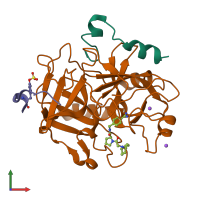 PDB entry 2zhe coloured by chain, front view.