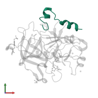 Thrombin light chain in PDB entry 2zhf, assembly 1, front view.