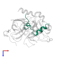 Thrombin light chain in PDB entry 2zhf, assembly 1, top view.