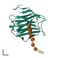PDB entry 2zhn coloured by chain, front view.
