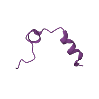 The deposited structure of PDB entry 2zhq contains 1 copy of Pfam domain PF09396 (Thrombin light chain) in Thrombin light chain. Showing 1 copy in chain A [auth L].