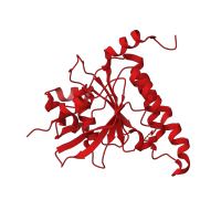 The deposited structure of PDB entry 2zjb contains 2 copies of CATH domain 3.40.50.300 (Rossmann fold) in Meiotic recombination protein DMC1/LIM15 homolog. Showing 1 copy in chain A.