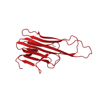 The deposited structure of PDB entry 2zjc contains 3 copies of CATH domain 2.60.120.40 (Jelly Rolls) in Tumor necrosis factor, soluble form. Showing 1 copy in chain B.