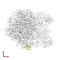 Large ribosomal subunit protein uL15 in PDB entry 2zjq, assembly 1, front view.